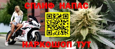 прущие крисы Обь
