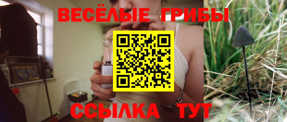 Тулун  Галлюциногенные грибы Psilocybine cubensis  Вход с VPN  Галлюциногенные грибы MAGIC MUSHROOMS 